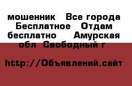 мошенник - Все города Бесплатное » Отдам бесплатно   . Амурская обл.,Свободный г.